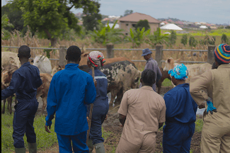 Animal Science Department