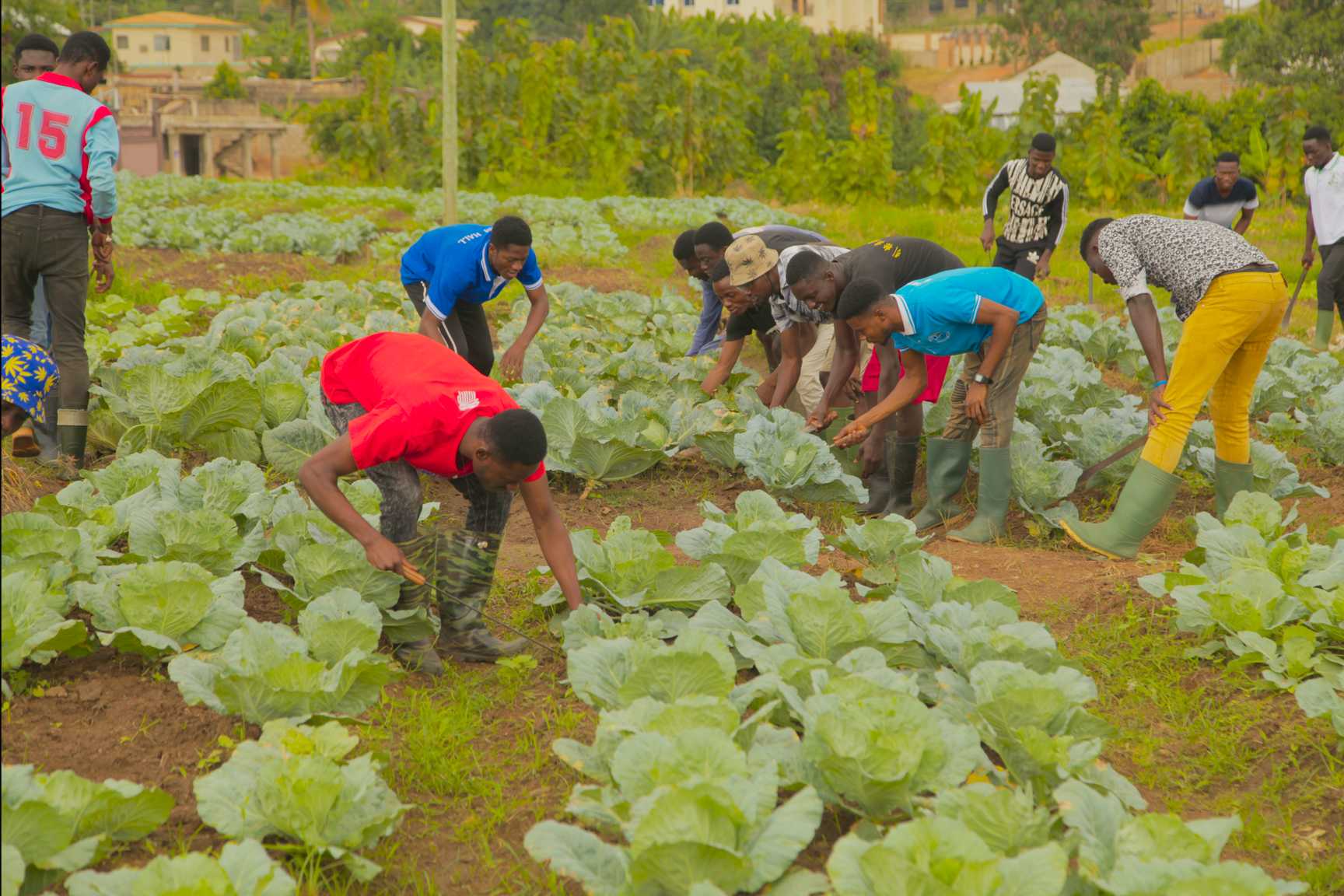 Crop & Soil Science Department